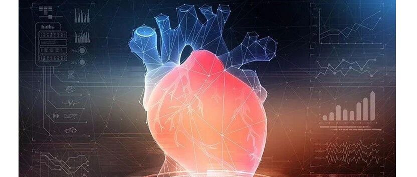 观点 |HFA-PEFF和H2FPEF评分或误诊这类HFpEF患者