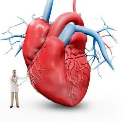 干货|暴发性心肌炎,一文教你早诊断早治疗