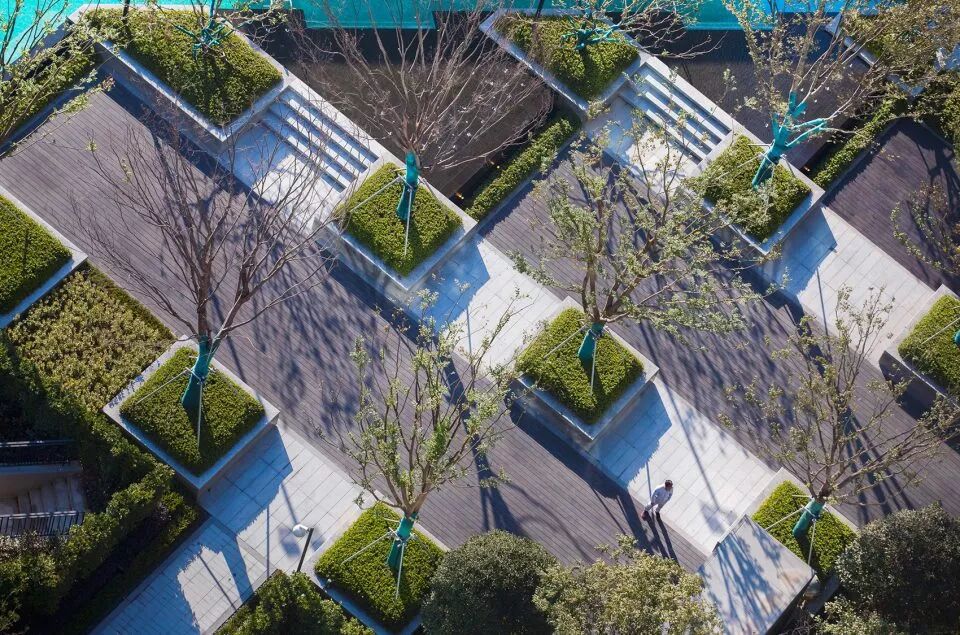 ▼富于丰富景观层次的树阵广场