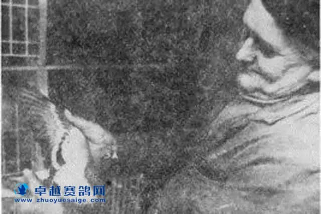 沃特斯与麦克斯