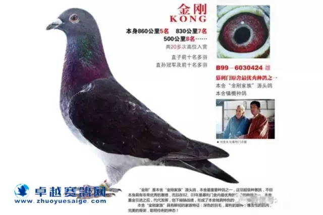 “金刚”:B99-6030424