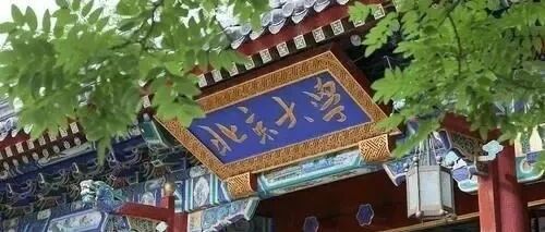 北大清华法大，都被自己人告了！