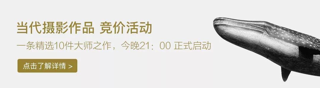 重磅 一条精选荒木经惟 森山大道等10件大师摄影作品 全部0元起竞拍 一条 微信公众号文章