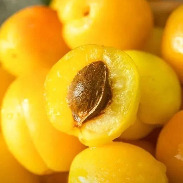 超甜的新疆小白杏，一年只卖15天！