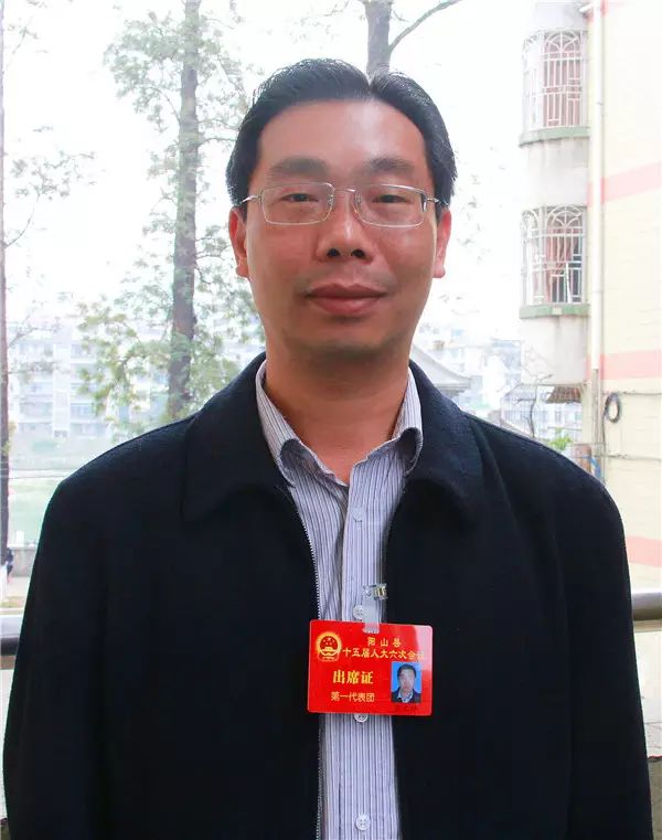 【贯彻落实县党代会精神】 乡镇书记畅谈本地区发展大计(四)