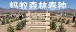 上次蚂蚁森林春种来这么多人还是上次