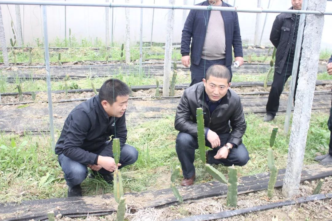万山:六枝特区委组织部赴万山区考察党建引领促脱贫工作