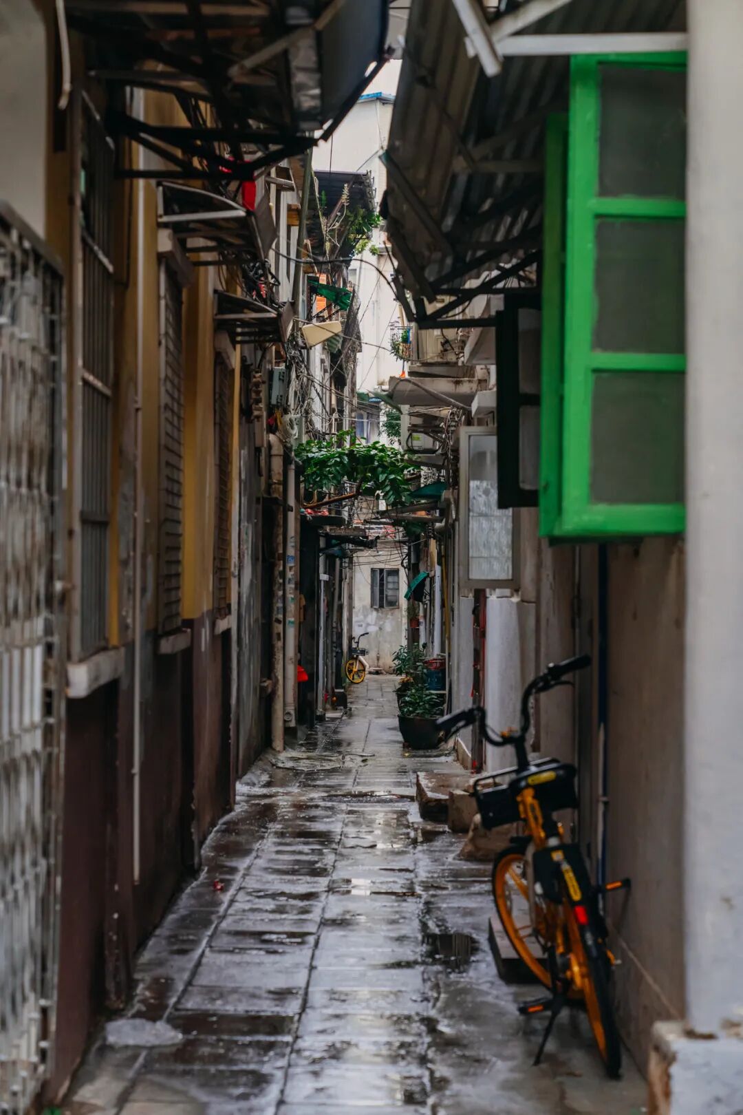 江南西最具老广味的紫来大街还是个隐藏的美食据点