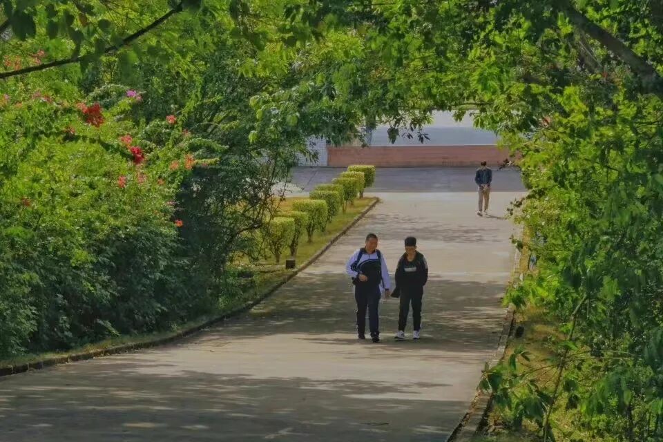 �պã����ѧ�������ġ���ɽ��ˮ�����ָ�ϡ�����ĩ�����棡