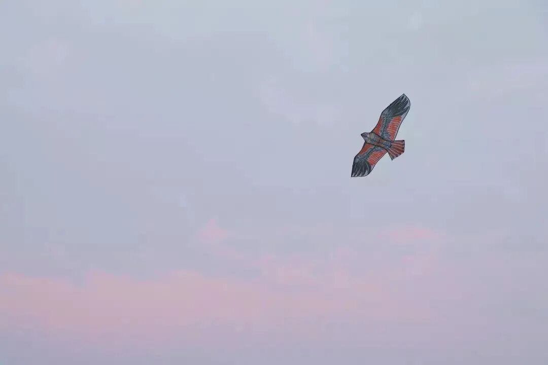 �պã����ѧ�������ġ���ɽ��ˮ�����ָ�ϡ�����ĩ�����棡