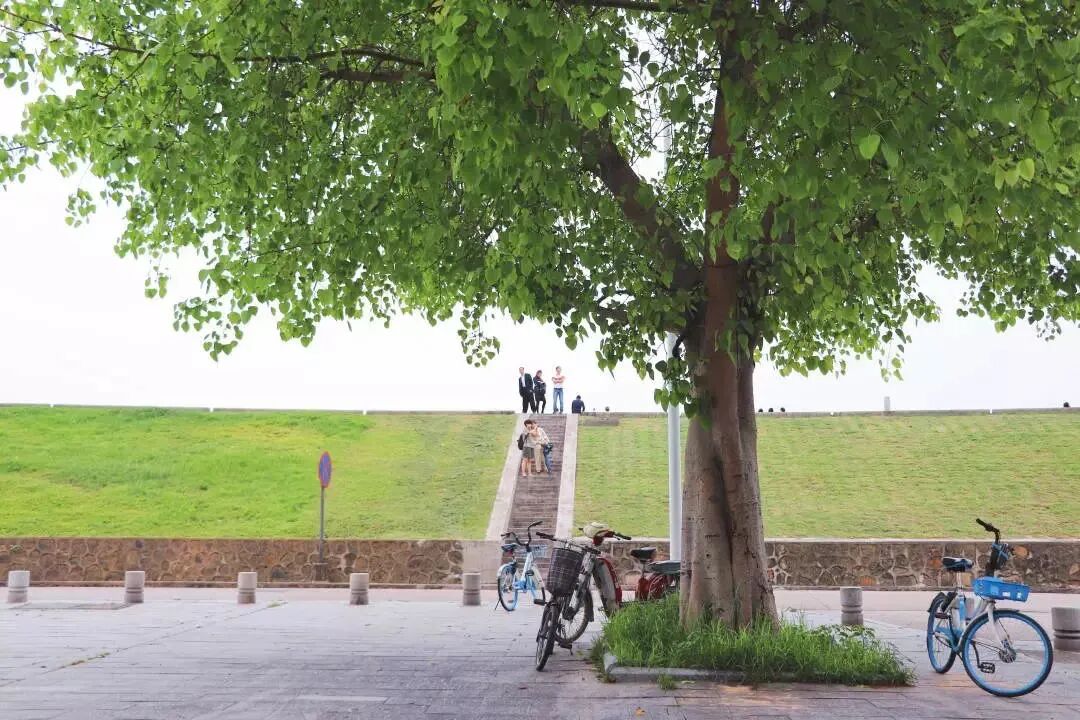 �պã����ѧ�������ġ���ɽ��ˮ�����ָ�ϡ�����ĩ�����棡