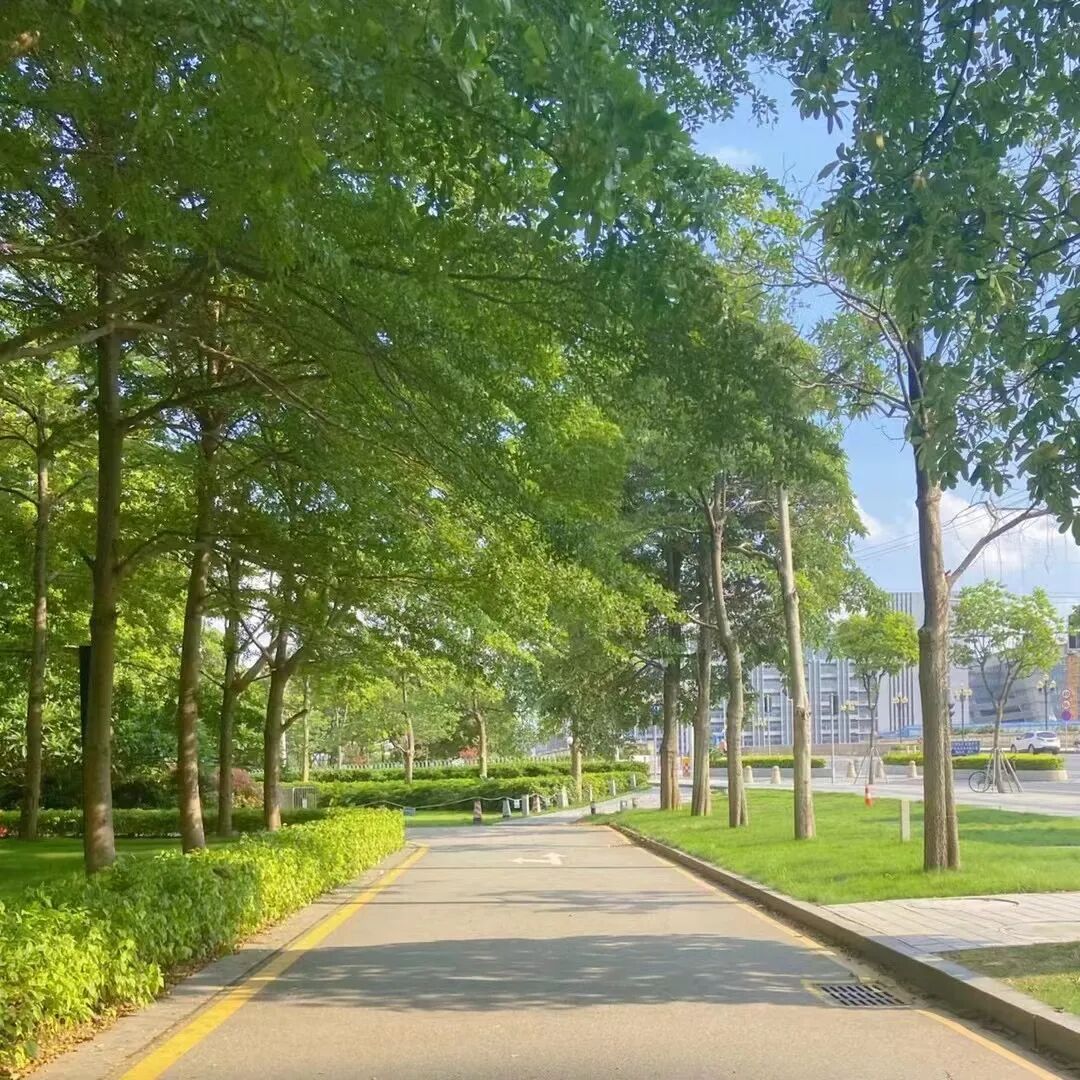 ��ҵ�����ѡ�����ڹ�����