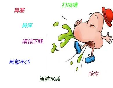 鼻炎的症状有哪些？鼻炎和鼻窦炎有什么区别？