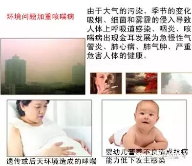 安惠胶囊，润肺清燥、止咳化痰、养血生肌，保肝！好处真的太多了