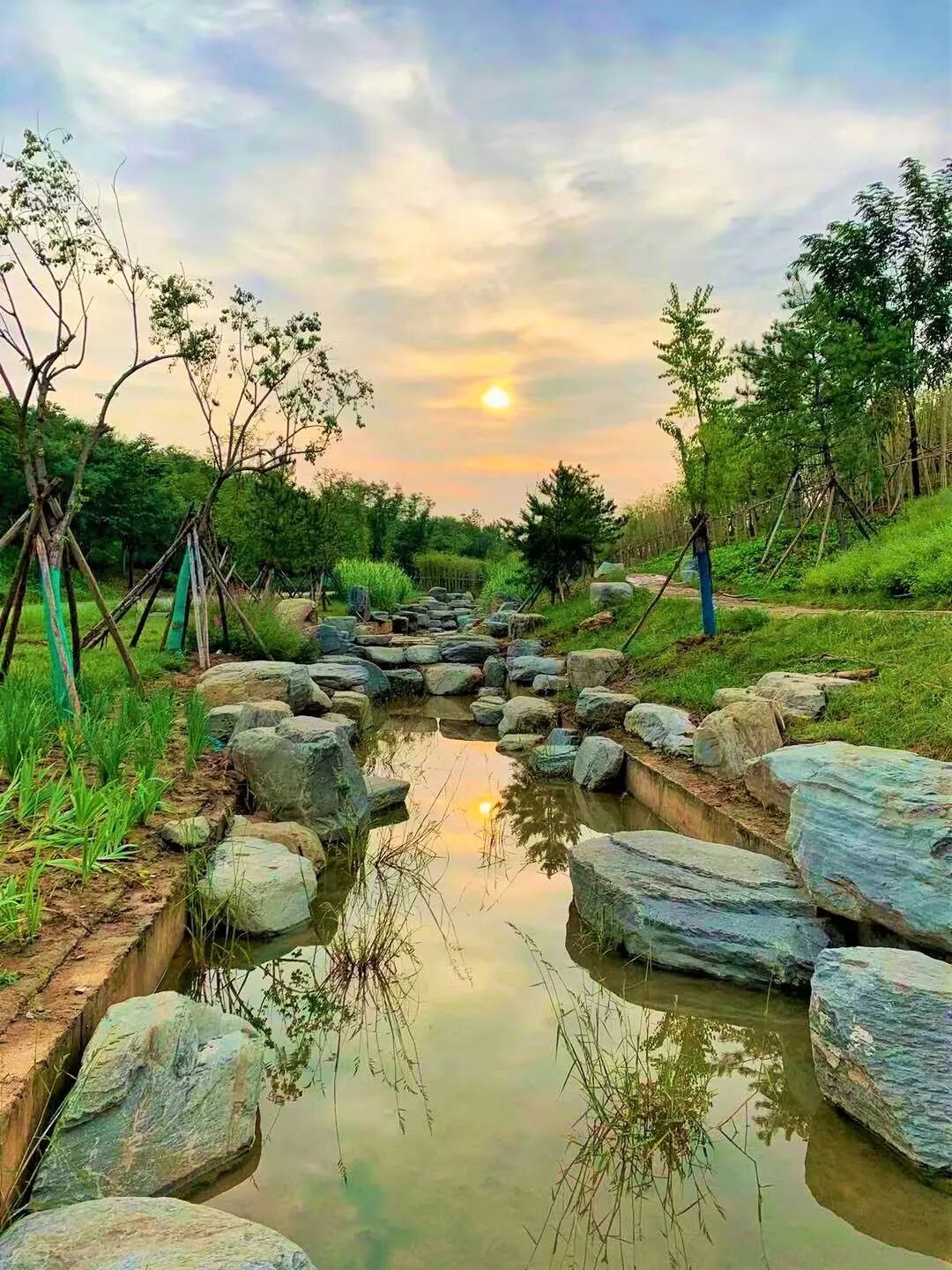 长安这个公园火了西安人再添网红打卡地