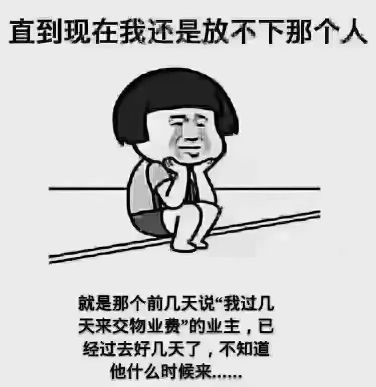 催付款表情包图片