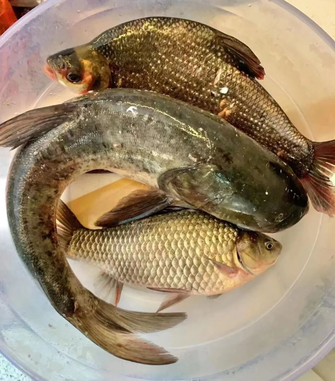 徐家汇一小区分发"活鱼"!系"特供牌"政府物资?真相原来是.