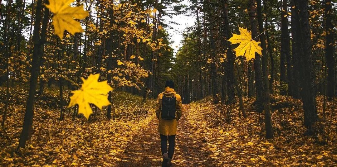 关于中医的问答：年轻人白头发多是怎么回事？