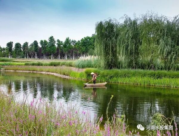 河南省许昌市襄城县北汝河国家湿地公园 摄影 杨其格13938828767.jpg