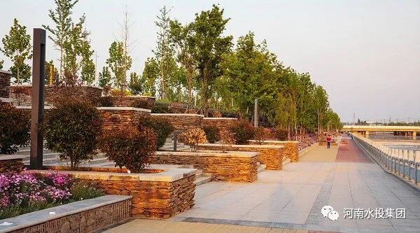 河南省焦作市沁阳市总干河滨河公园 摄影 杨其格13938828767.jpg