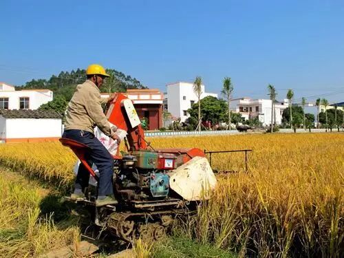 水稻收割机保养注意事项
