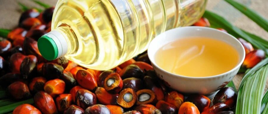 常用这种油，吃多了竟会促进肿瘤转移？