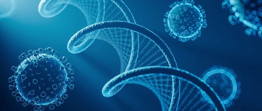 癌细胞可能促进转移和抵抗治疗，这取决于它们的状态