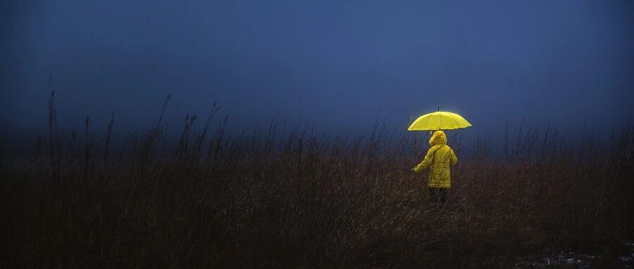 Cell｜颠覆，肠道微生物与自闭症无因果关系，自闭症患者的肠道菌群差异，只是因饮食偏好！