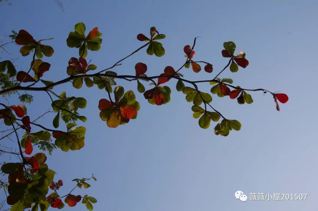 【藍瓶咖啡聯盟選文】我的旅行——台灣篇（五）高雄 旅行 第12張