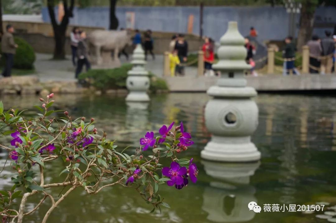 裝潢設計選文 / 我的旅行——台灣篇（三）南投 旅行 第3張