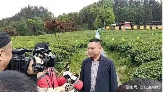 闻茶香 品好茶丨走进华莱感受地道茶道文化