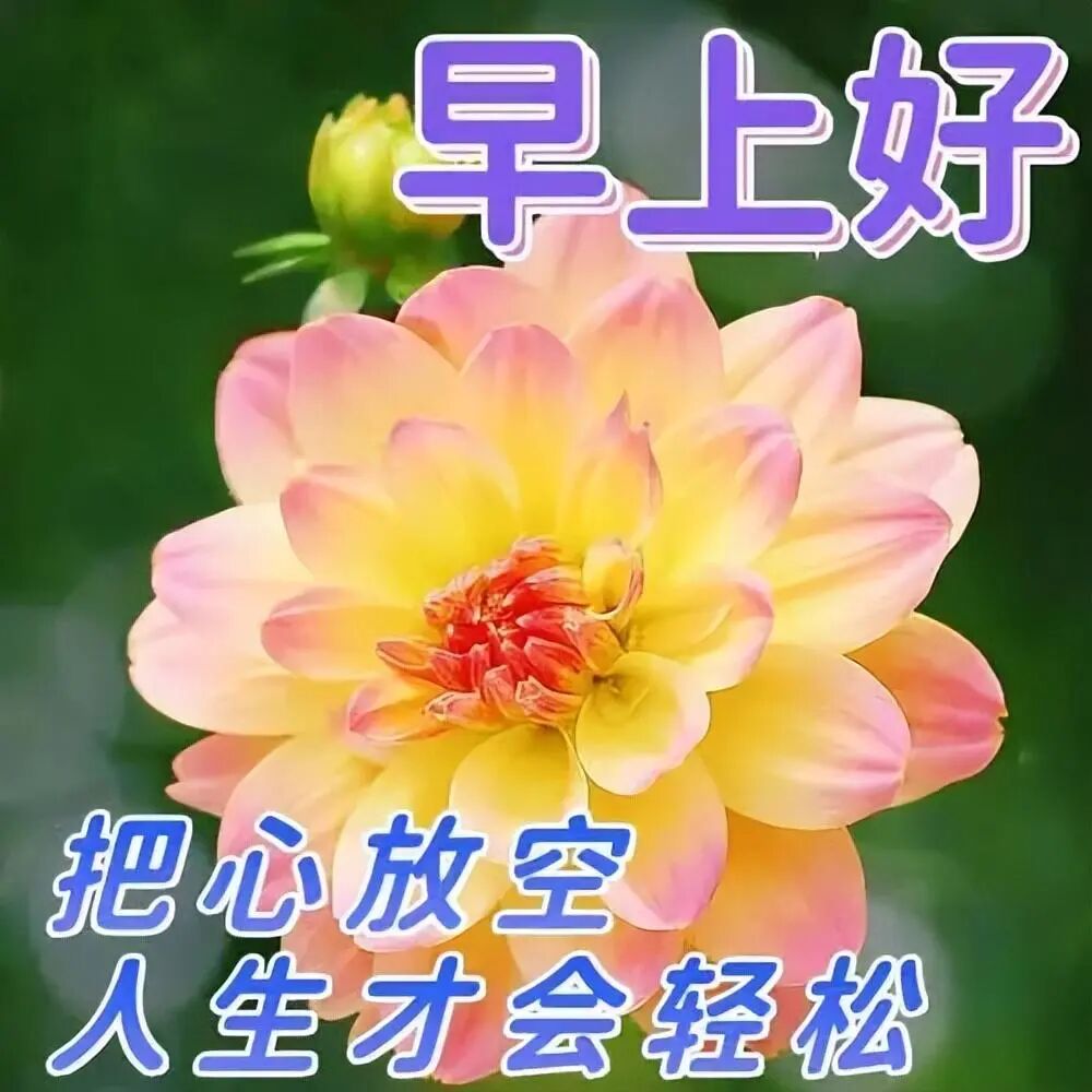 最新早上好祝福图片精选，早安吉祥，平安健康(早上好图语祝福)