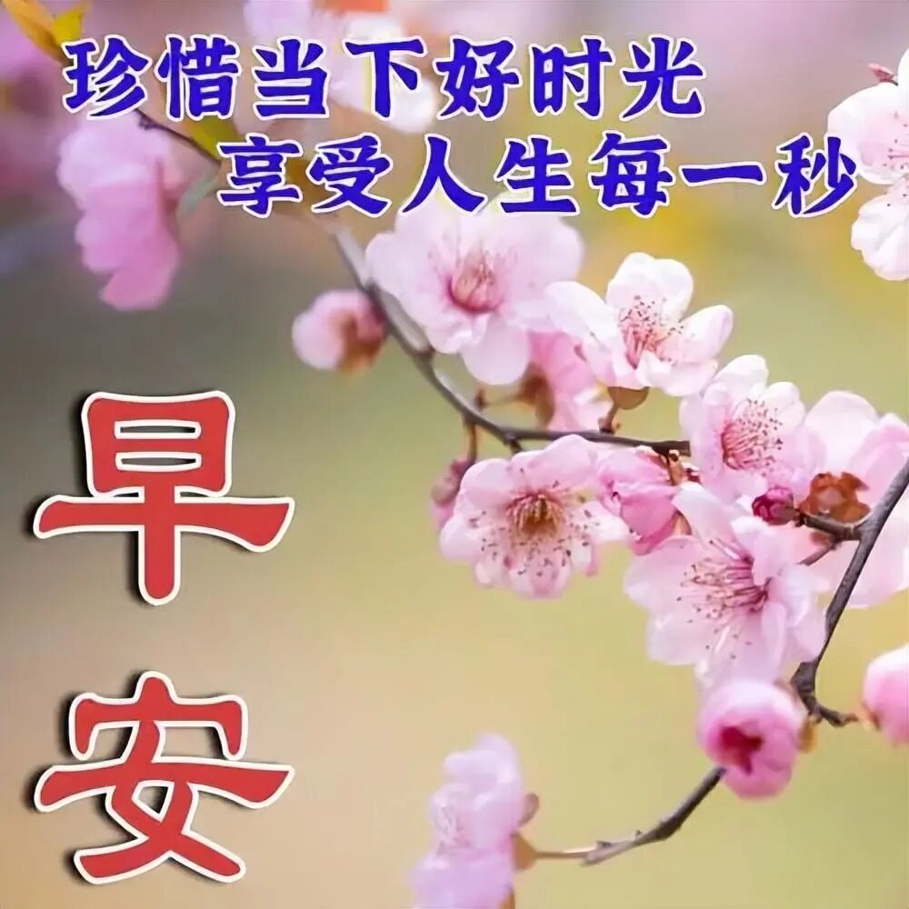 最新早上好祝福图片精选，早安吉祥，平安健康(早上好图语祝福)