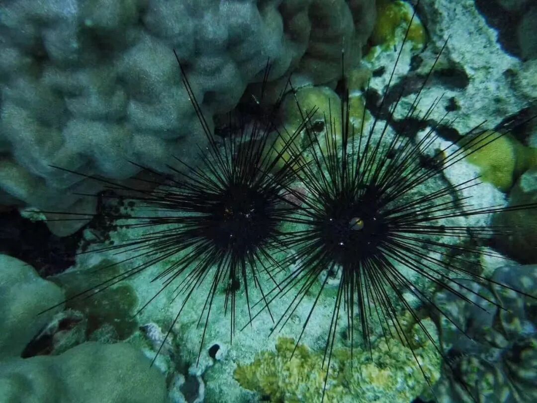 泰国普吉岛自由行||看这一篇就够了超全旅游攻略