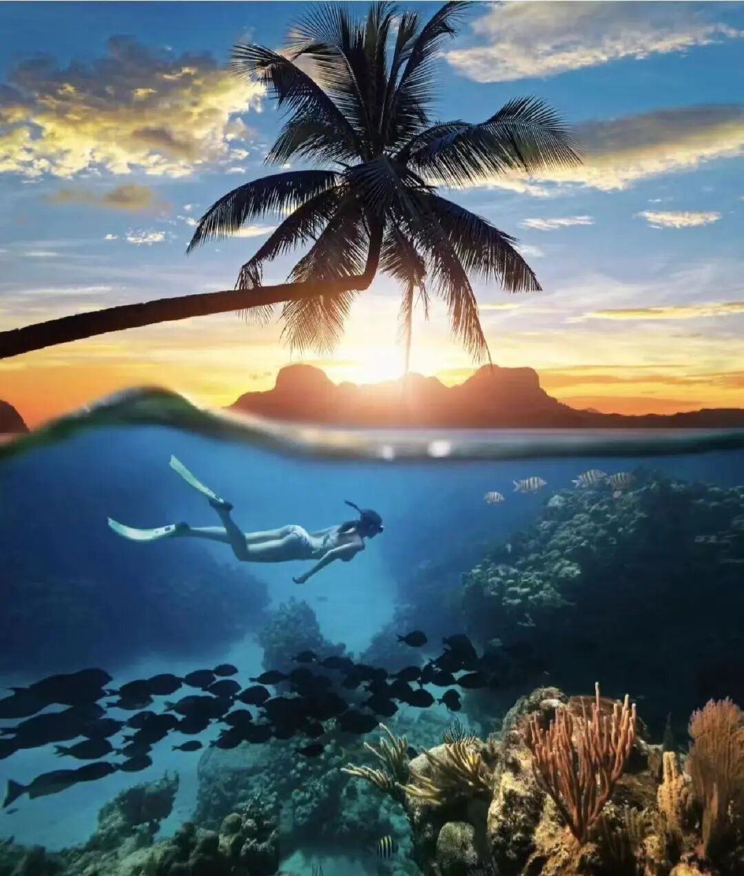 泰国普吉岛自由行||看这一篇就够了超全旅游攻略