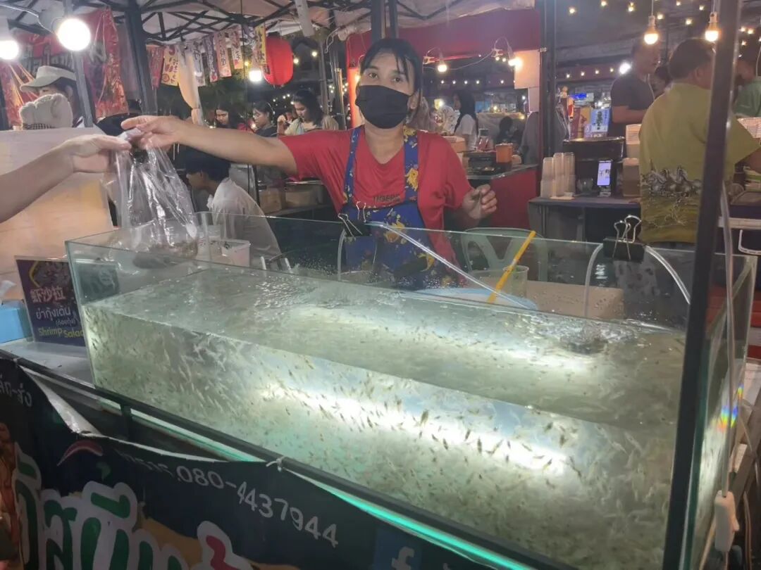 泰国普吉岛自由行||看这一篇就够了超全旅游攻略