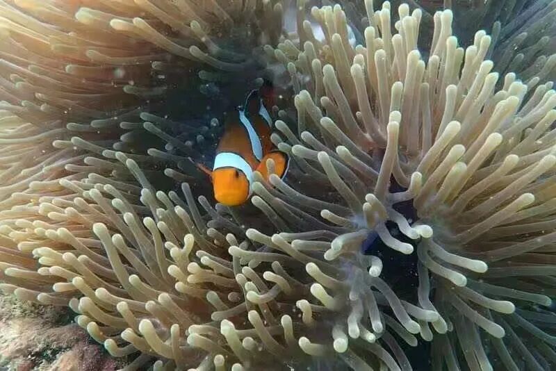 泰国普吉岛自由行||看这一篇就够了超全旅游攻略