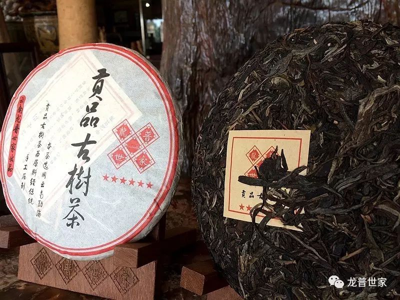 龍普世家貢品古樹茶餅裝普洱生茶雲南貢品古茶山百年古樹喬木早春原料