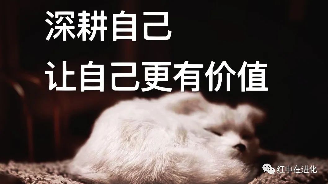 人的特质