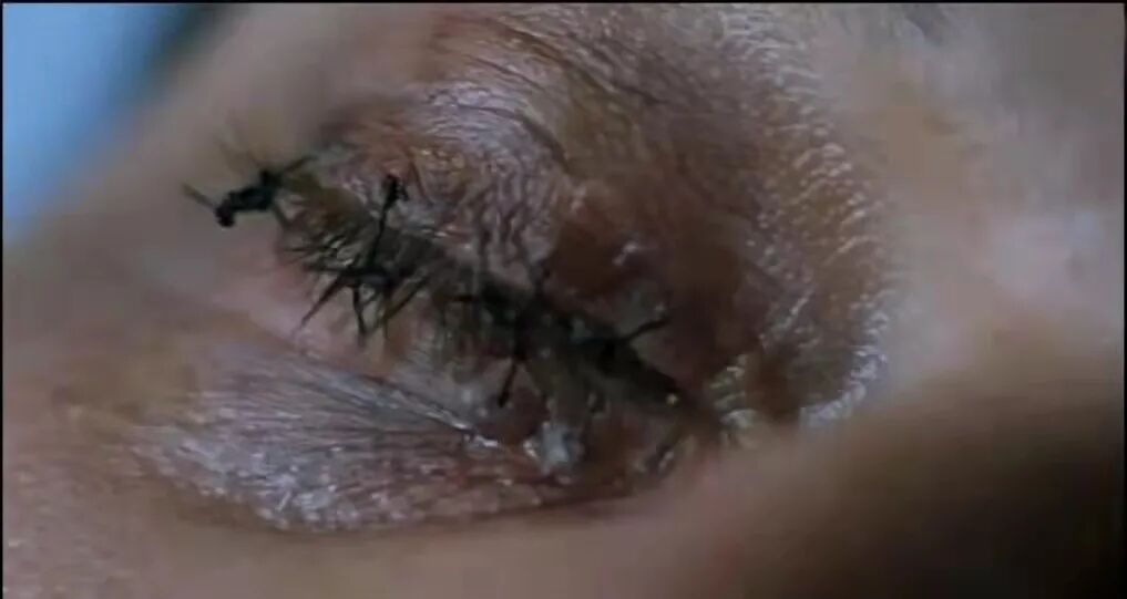 植物人有意识吗能听得到我们说话吗_植物听的到人说话吗_植物能听得懂人说话吗