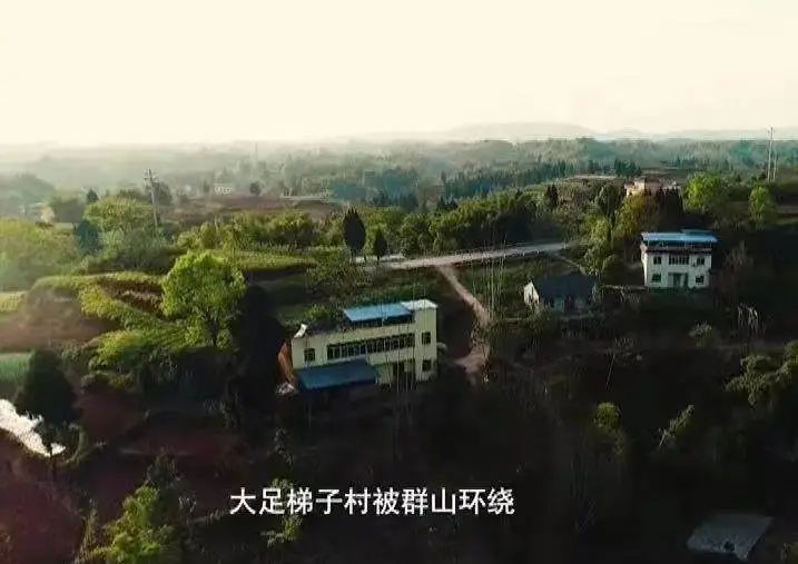 志愿明星主要事迹_明星志愿2000_志愿明星奖学金申请理由
