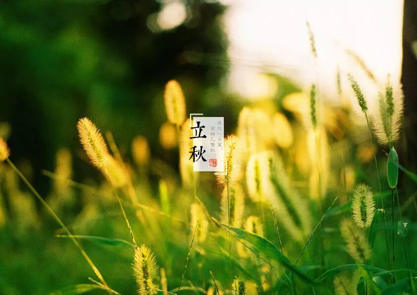 今日立秋，远离“秋老虎”，吃6宝，做4事，3个注意要记住! 