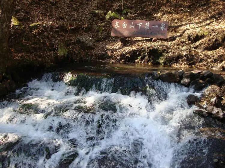 【大美长白山】北、西、南三坡旅游全攻略