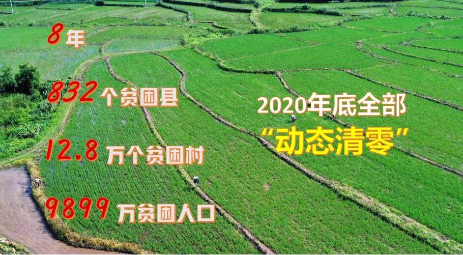 Get中央一号文件精神，@农报君的学习心得！