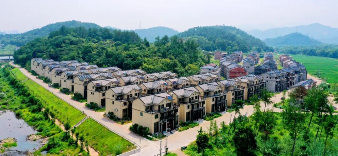 Get中央一号文件精神，@农报君的学习心得！