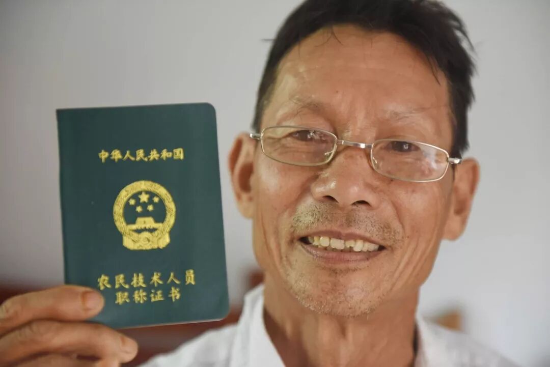 职称研究员系列_研究者职称_研究员是什么职称级别