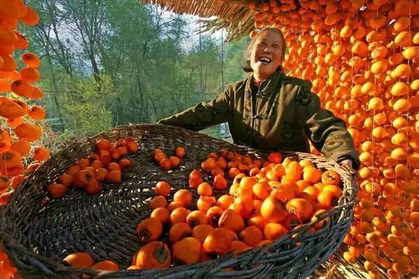 农民丰收节放几天假_下元节 是24节气吗_中国农民丰收节是哪一个节气