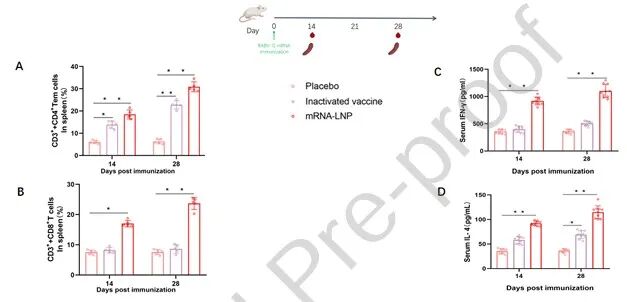8！！！冻干抗狂犬病mRNA-LNP疫苗单剂量皮下接种诱导早期强效免疫应答