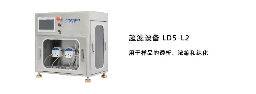 非洲猪瘟E120R基因缺失通过增强免疫和抑制病毒释放实现减毒