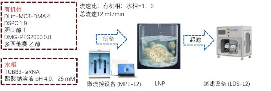 TUBB3/多西他赛脂质纳米粒干粉吸入剂及高效递送装置用于肺癌靶向治疗